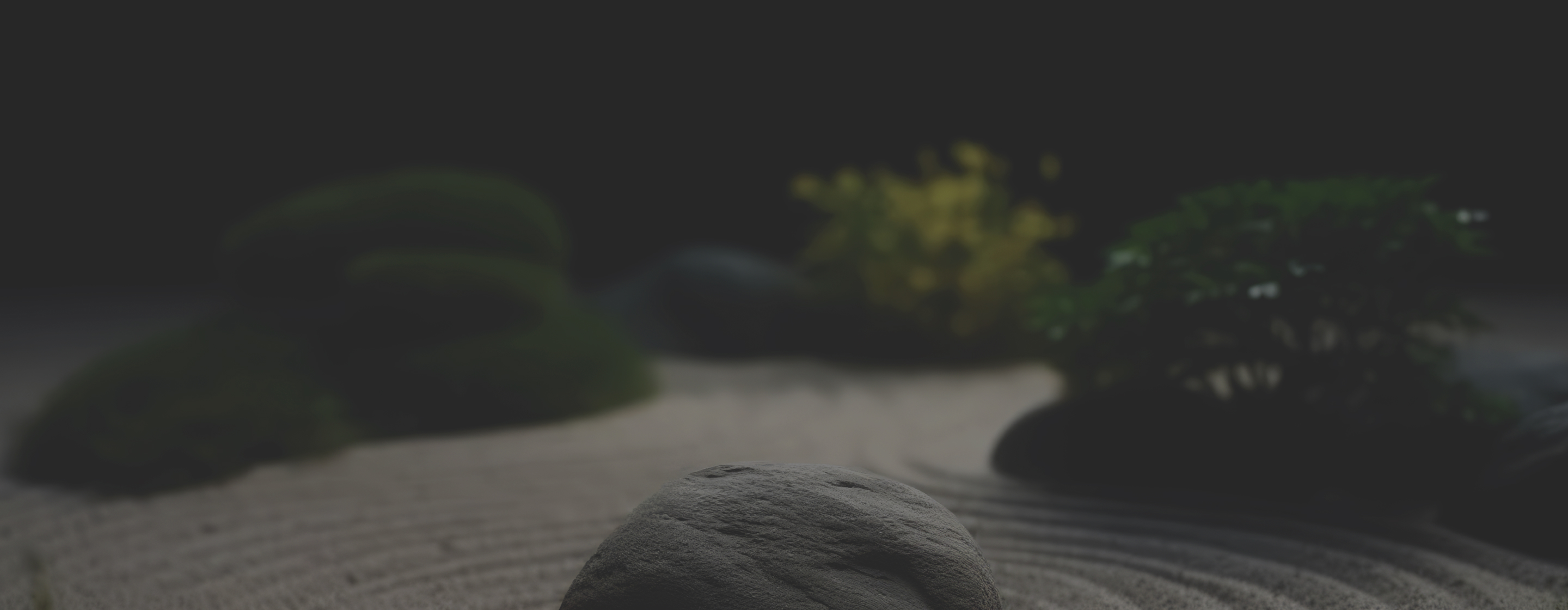 Backdrop Register Banner